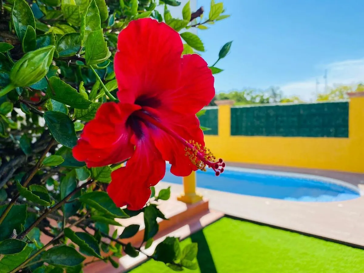 Guadalmina Bonita Villa Con Piscina Playa 800M Marbella