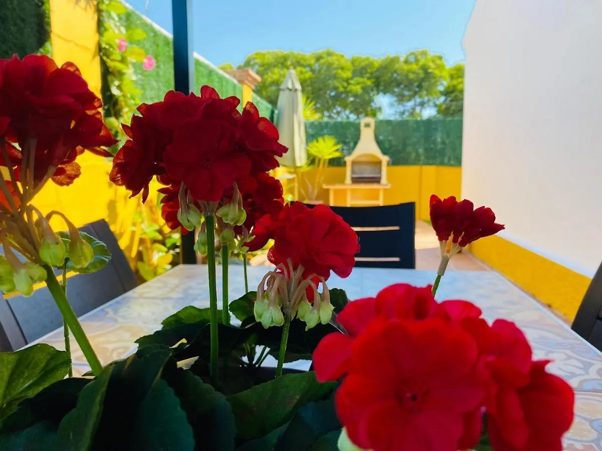 Guadalmina Bonita Villa Con Piscina Playa 800M Marbella Spain
